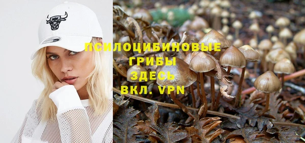 apvp Вязники
