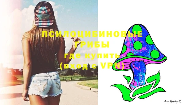 apvp Вязники