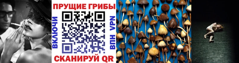Псилоцибиновые грибы мухоморы  хочу наркоту  Обоянь 
